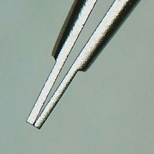 HOZAN Edelstahl-Pinzette P-87, Gerade Spitze - 125 Mm, Made In Japan