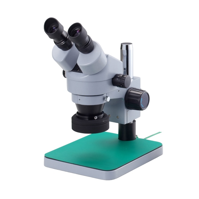 実体顕微鏡
