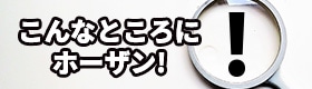 こんなところにホーザン！